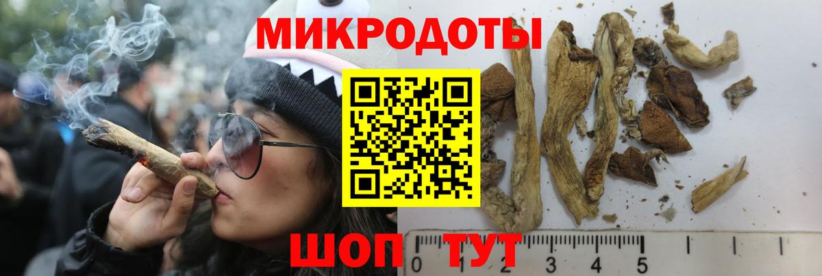 Псилоцибиновые грибы Psilocybe  Вход с VPN  Карасук  Псилоцибиновые грибы Psilocybine cubensis 